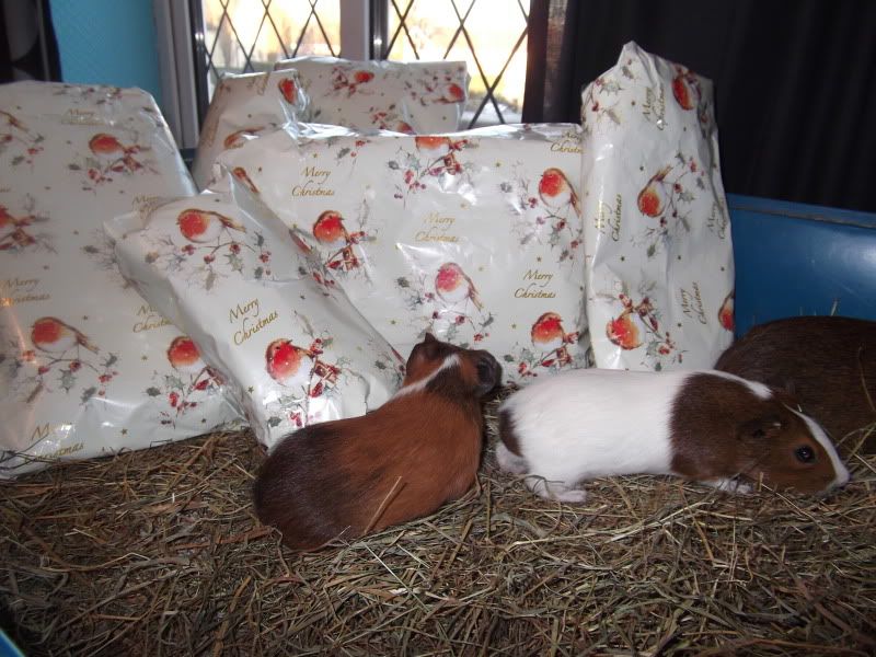 DSCF1152.jpg