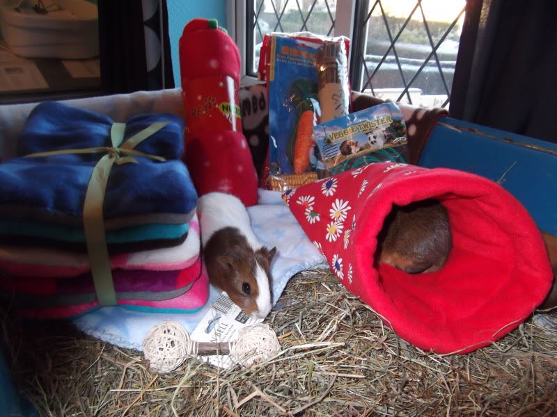 DSCF1173.jpg