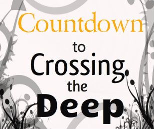 Characters... what do they look like?: Countdown to Crossing the Deep