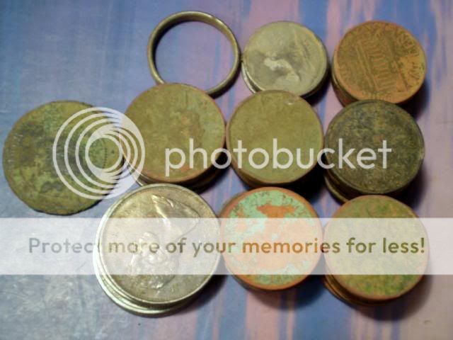 Navy davy finds...................his button P5020014