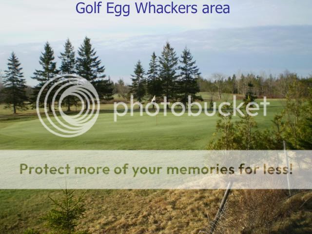 Great Golf egg finds but little else P8310001