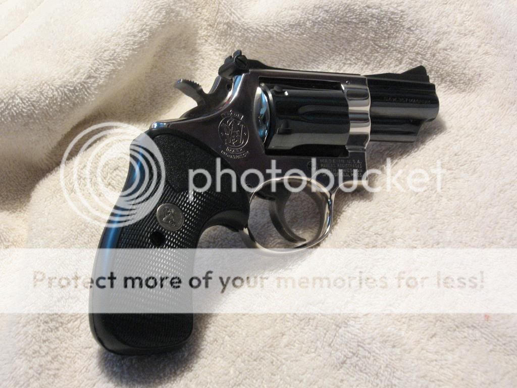 m19 two tone aka paint | Smith And Wesson Forums