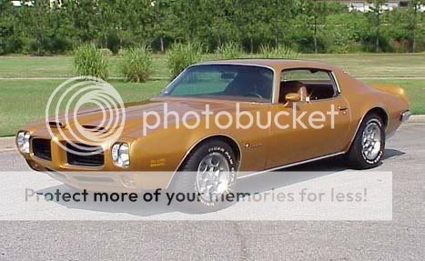 Plusieurs photos : Pontiac Firebird... de 1977 à 1981 73_gold_formula1