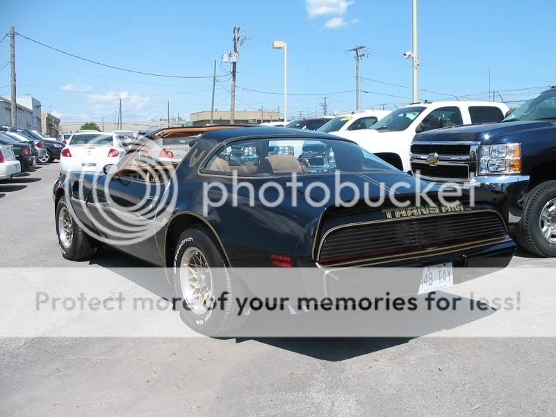 pontiac - Plusieurs photos : Pontiac Firebird... de 1977 à 1981 Photo617