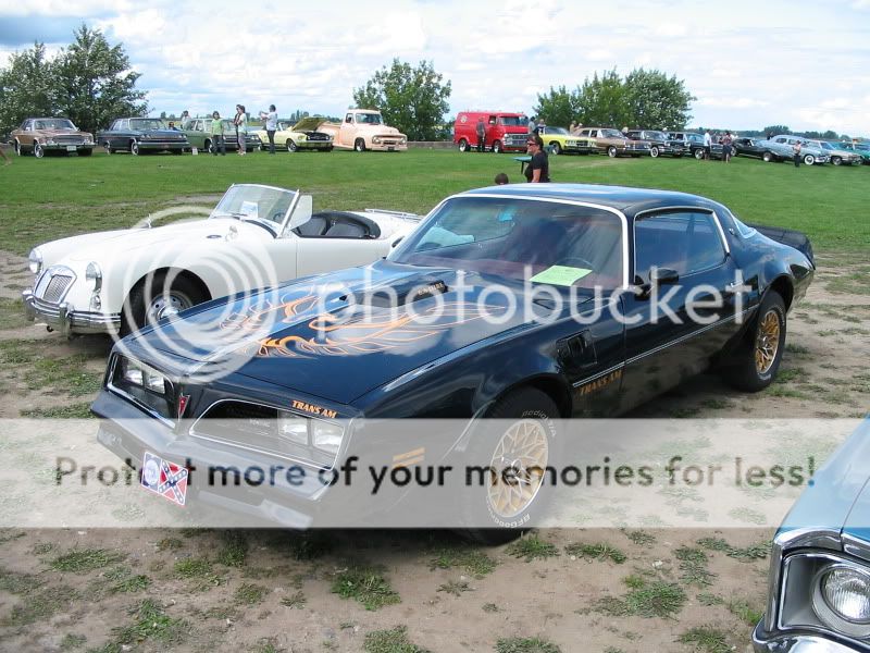 Plusieurs photos : Pontiac Firebird... de 1977 à 1981 Photo767