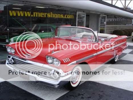 photo - Impala Impala58