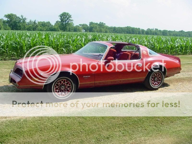 Plusieurs photos : Pontiac Firebird... de 1977 à 1981 Redbird