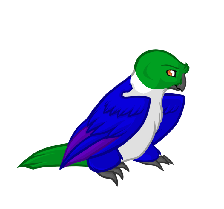User Image