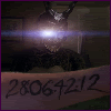 Image hosted by Photobucket.com