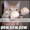 Kitty! Pewpewpew