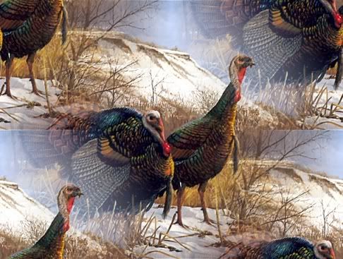 turkeybg.jpg