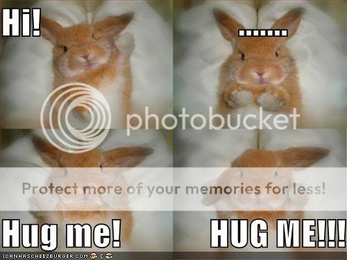 Funny NON-ANIME pic's Funny-pictures-bunny-wants-hug