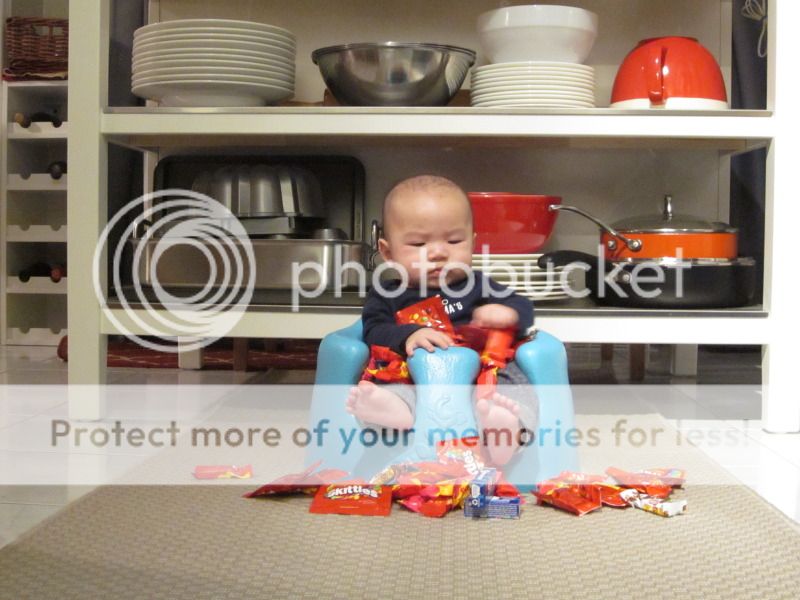 October 2015 photo IMG_3962_zpsnrinjcqe.jpg