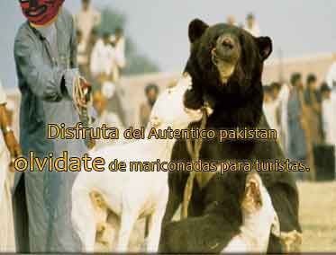 Sin-ttulo-34.jpg