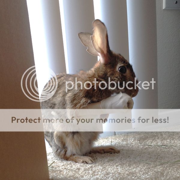  photo 03-09-PeteCast.jpg