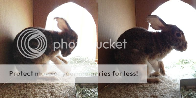  photo 03-09-PitiPete.jpg