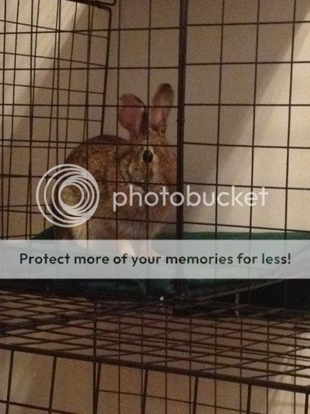  photo 12-16-14Shelf.jpg