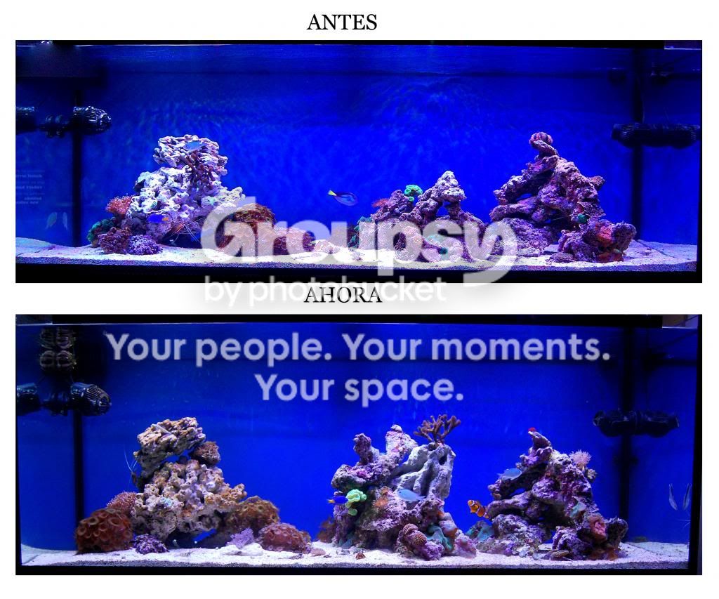 [TodoMarino.com] Amedias Reef