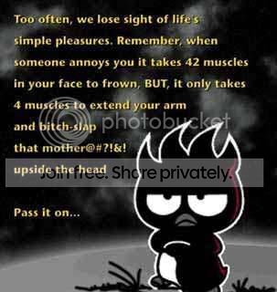 It takes 42 muscles to frown. It only takes 4 muscles to reach out and bitchslap the muthafuka.