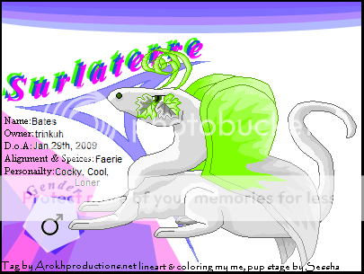 User Image
