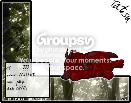User Image