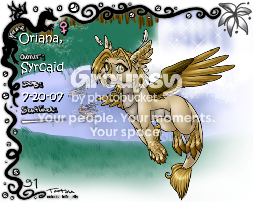 User Image