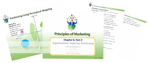 Principles of Marketing Papers