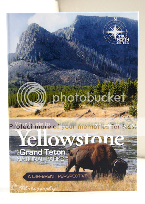 Your Guide to Yellowstone Cover Image