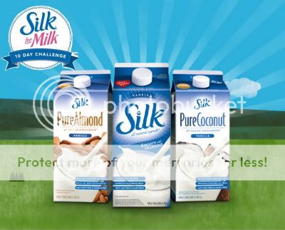 Silk for Milk Challenge