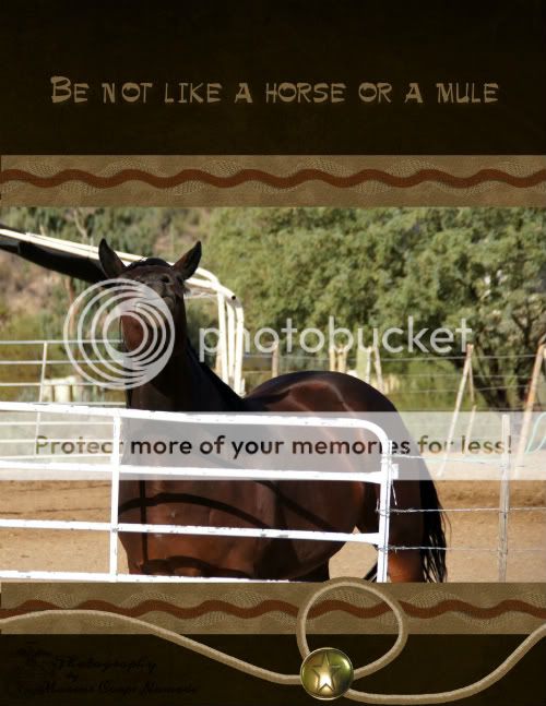 Be Not Like a Horse