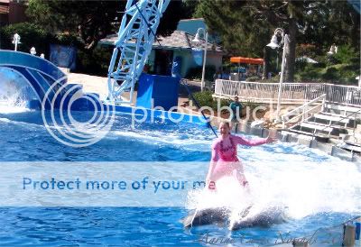 Riding Dolphins