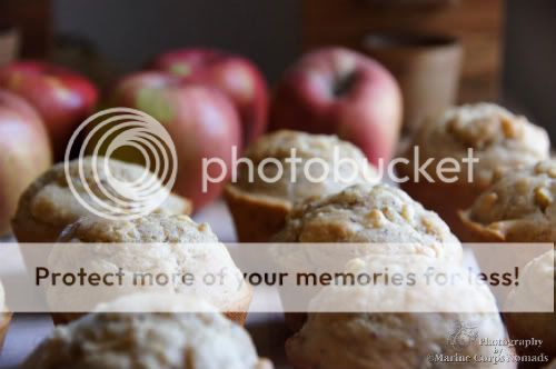 Gluten Free Apple Cinnamon Muffins