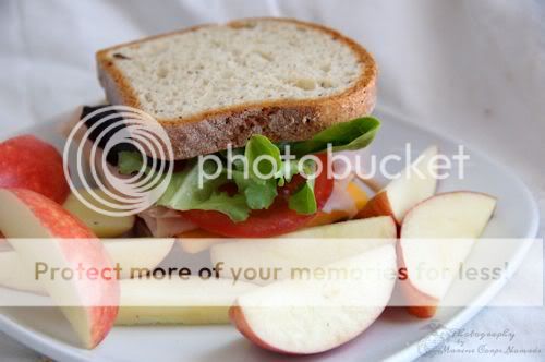 Gluten Free Turkey Sandwich with Apple Slices