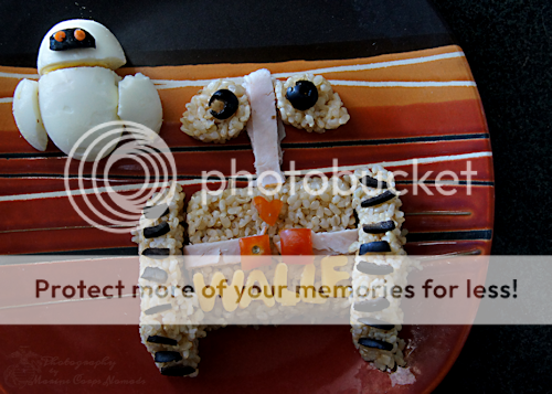 WALL-E and EVE made from hard boiled eggs and rice