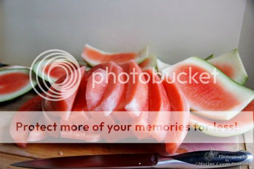 Watermelon Sticks