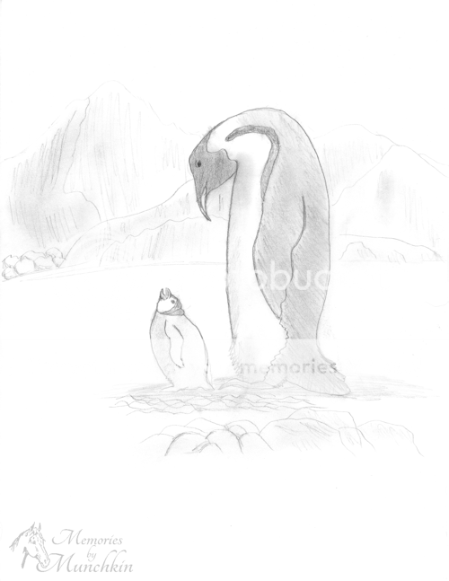 Sketch of Penguins