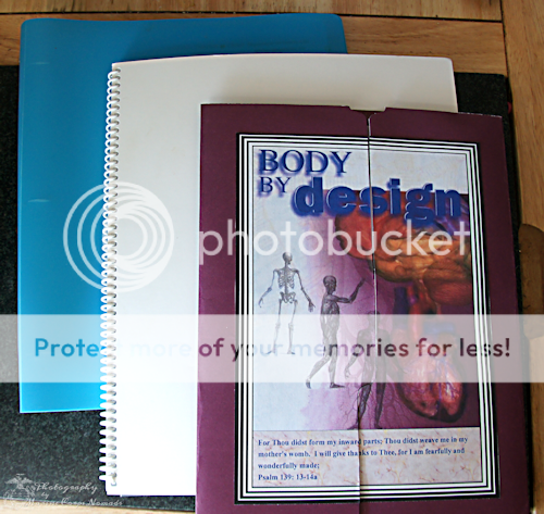 Examples of Lapbooking