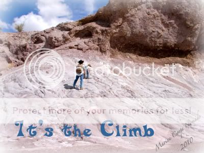 Its the Climb