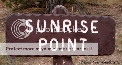 Sunrise Point Sign