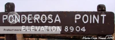 Ponderosa Canyon Sign