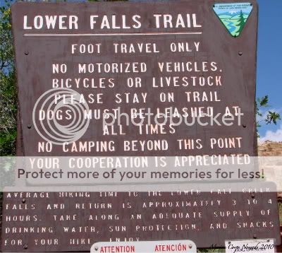 Lower Falls Trail