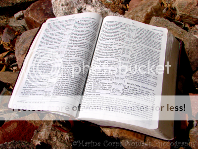 Bible on Rocks