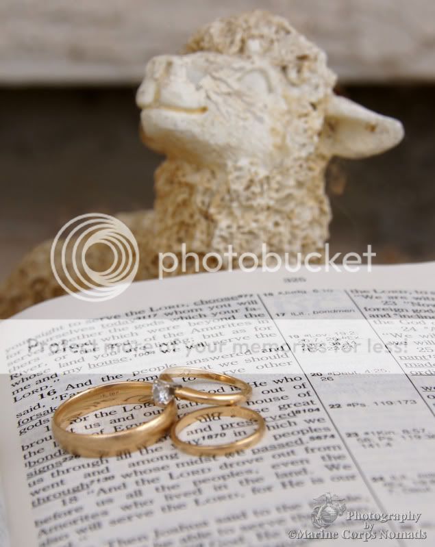 Wedding Rings with Lamb
