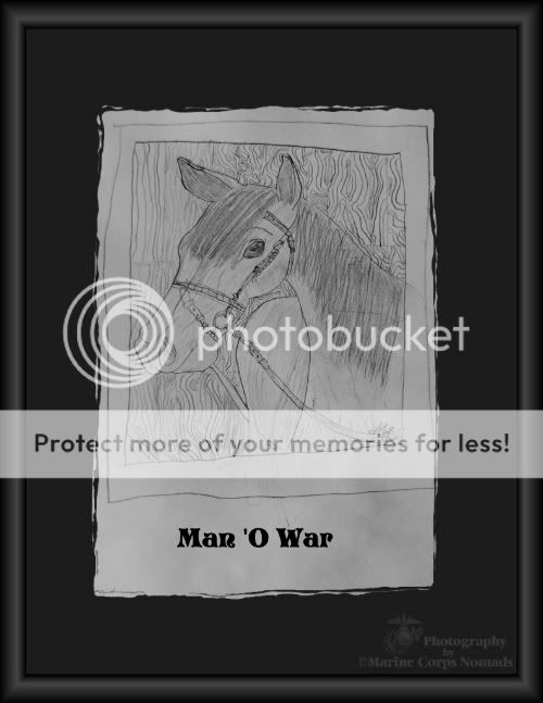 man 'o war horse drawing