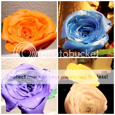 Polymer Clay Roses
