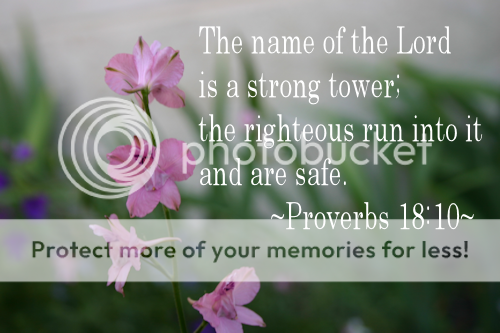 Proverbs 18:10 ~ Strong Tower