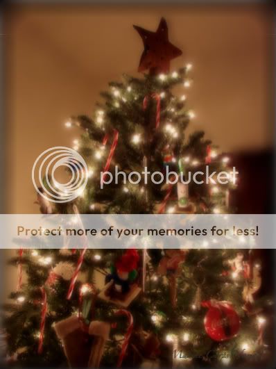 2010 Christmas Tree Close Up