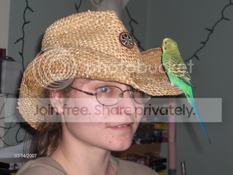 User Image