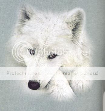 Wolf  Pics - Page 2 White_wolf