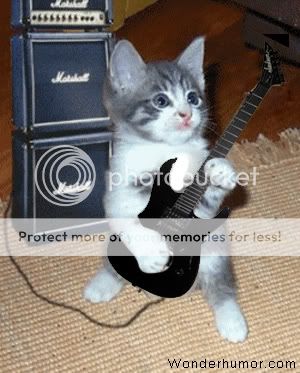 Jackson guitar for sale Kitten